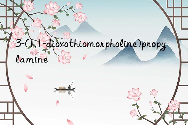 3-(1,1-dioxothiomorpholine)propylamine