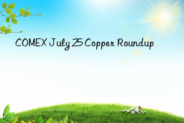 COMEX July 25 Copper Roundup