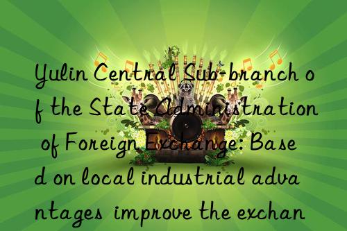 Yulin Central Sub-branch of the State Administration of Foreign Exchange: Based on local industrial advantages  improve the exchange rate risk management capabilities of metal magnesium enterprises within its jurisdiction