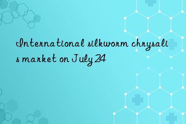 International silkworm chrysalis market on July 24