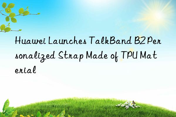 Huawei Launches TalkBand B2 Personalized Strap Made of TPU Material