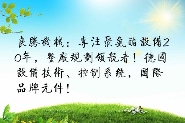 良腾机械:专注聚氨酯设备20年,整厂规划领航者!德国设备技术、控制系统,国际品牌元件!