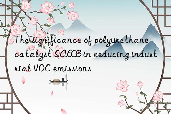 The significance of polyurethane catalyst SA603 in reducing industrial VOC emissions