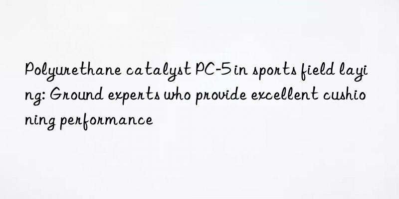 Polyurethane catalyst PC-5 in sports field laying: Ground experts who provide excellent cushioning performance