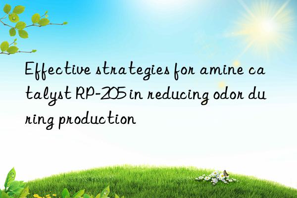 Effective strategies for amine catalyst RP-205 in reducing odor during production