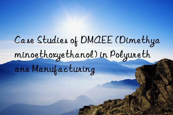 Case Studies of DMAEE (Dimethyaminoethoxyethanol) in Polyurethane Manufacturing