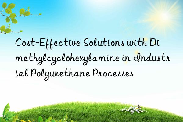 Cost-Effective Solutions with Dimethylcyclohexylamine in Industrial Polyurethane Processes