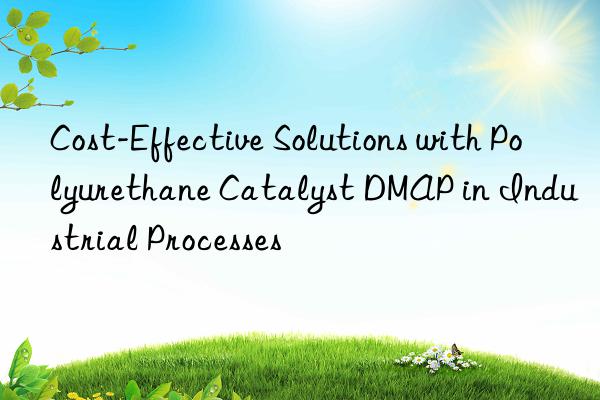 Cost-Effective Solutions with Polyurethane Catalyst DMAP in Industrial Processes