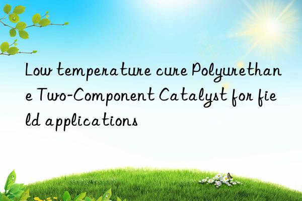 Low temperature cure Polyurethane Two-Component Catalyst for field applications