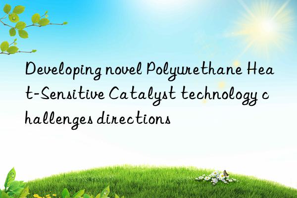 Developing novel Polyurethane Heat-Sensitive Catalyst technology challenges directions