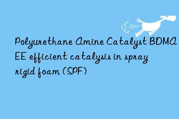 Polyurethane Amine Catalyst BDMAEE efficient catalysis in spray rigid foam (SPF)
