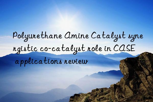 Polyurethane Amine Catalyst synergistic co-catalyst role in CASE applications review