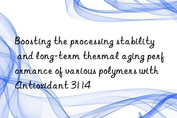 Boosting the processing stability and long-term thermal aging performance of various polymers with Antioxidant 3114