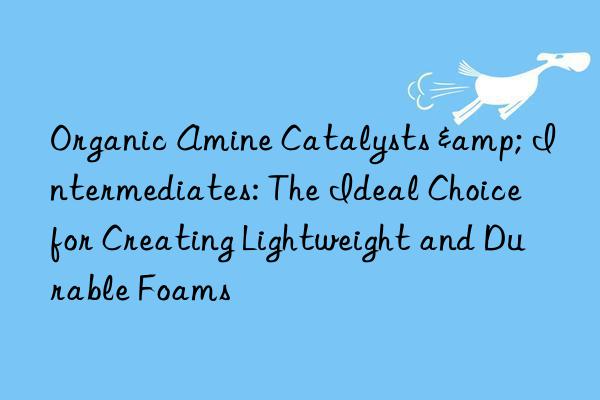 Organic Amine Catalysts & Intermediates: The Ideal Choice for Creating Lightweight and Durable Foams