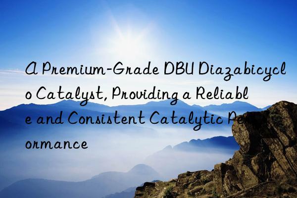 A Premium-Grade DBU Diazabicyclo Catalyst, Providing a Reliable and Consistent Catalytic Performance