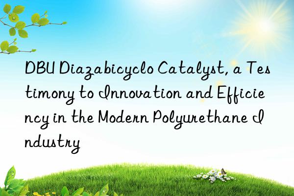 DBU Diazabicyclo Catalyst, a Testimony to Innovation and Efficiency in the Modern Polyurethane Industry
