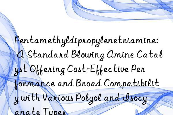 Pentamethyldipropylenetriamine: A Standard Blowing Amine Catalyst Offering Cost-Effective Performance and Broad Compatibility with Various Polyol and Isocyanate Types