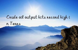 Crude oil output hits record high in Texas