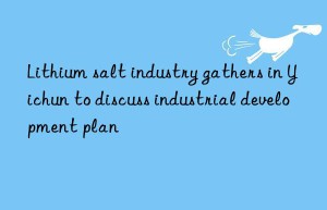 Lithium salt industry gathers in Yichun to discuss industrial development plan
