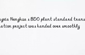 Ningxia Nenghua s BDO plant standard transformation project was handed over smoothly