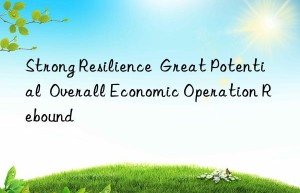 Strong Resilience  Great Potential  Overall Economic Operation Rebound