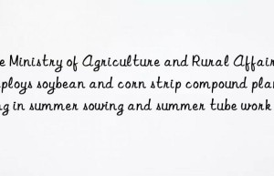 The Ministry of Agriculture and Rural Affairs deploys soybean and corn strip compound planting in summer sowing and summer tube work