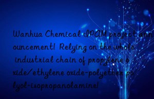 Wanhua Chemical IPAM project announcement!  Relying on the whole industrial chain of propylene oxide/ethylene oxide-polyether polyol-isopropanolamine!