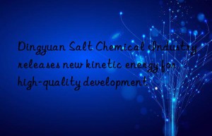 Dingyuan Salt Chemical Industry releases new kinetic energy for high-quality development