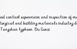 Flood control supervision and inspection of metallurgical and building materials industry during Tangshan typhoon  Du Surui