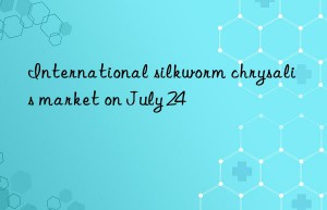 International silkworm chrysalis market on July 24