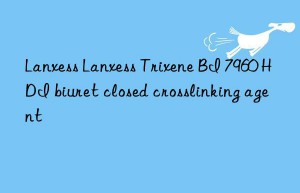 Lanxess Lanxess Trixene BI 7960 HDI biuret closed crosslinking agent