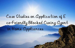 Case Studies on Application of Eco-Friendly Blocked Curing Agent in Home Appliances