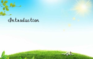 Introduction