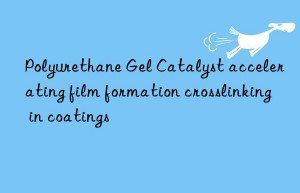 Polyurethane Gel Catalyst accelerating film formation crosslinking in coatings