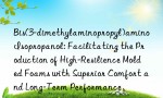 Bis(3-dimethylaminopropyl)amino Isopropanol: Facilitating the Production of High-Resilience Molded Foams with Superior Comfort and Long-Term Performance
