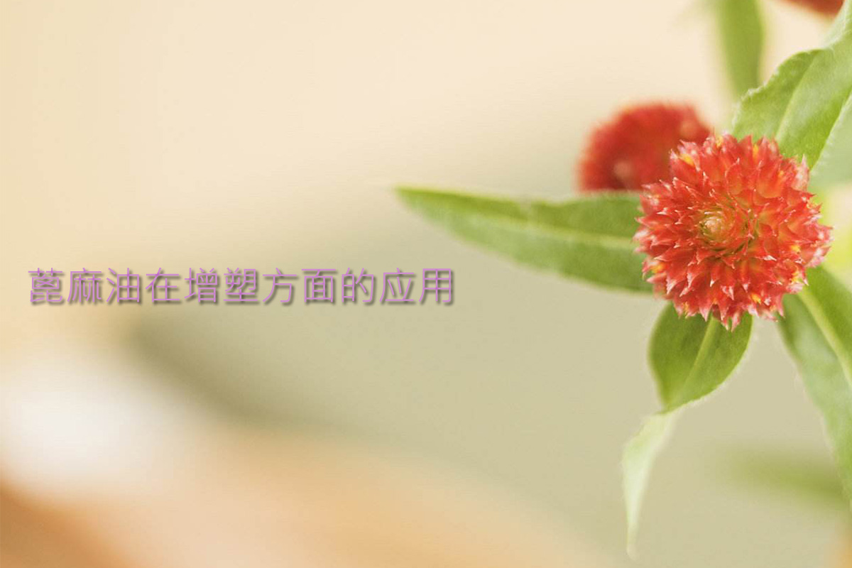 1564709622106312.jpg 1.jpg