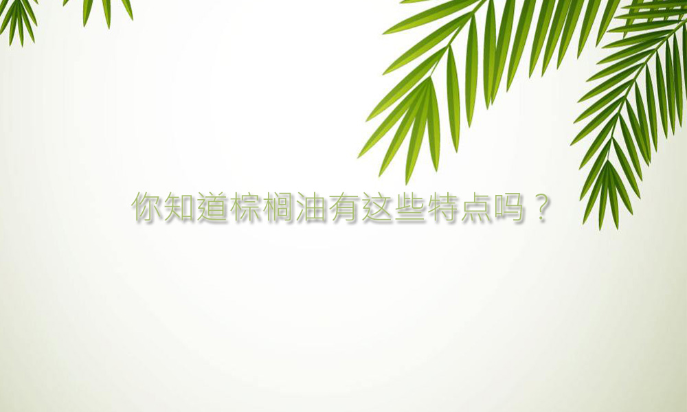 1574216894178247.jpg 2.jpg