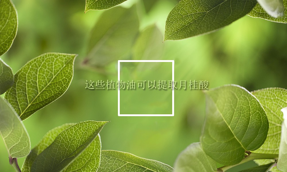 Picture Keywords Image keywords